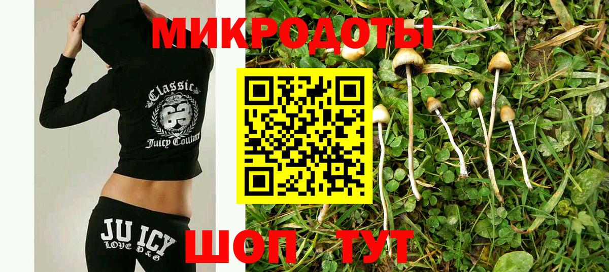 Дмитров  Псилоцибиновые грибы Magic Shrooms  где найти наркотики  Вход с VPN 