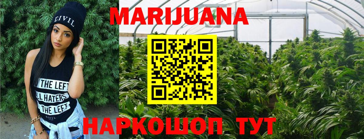 Бошки марихуана OG Kush Дмитров
